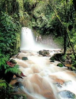 machupicchu Mandor Waterfalls
